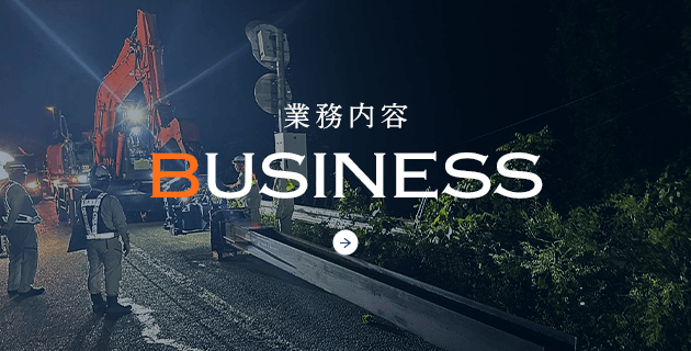 bnrhalf_business